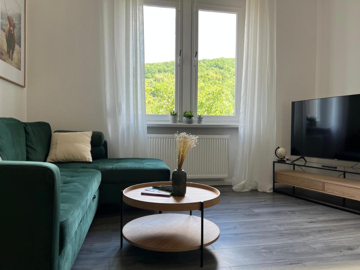 Direct Moselle View 200m² 4 Sz 10pers Terrace * Sankt Aldegund